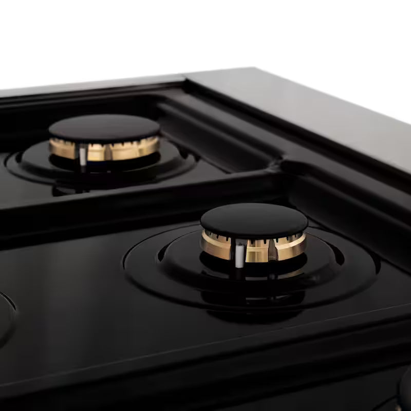 6-Burner Dual Fuel Range with Black Matte Door in Stainless Steel and Polished Gold U955