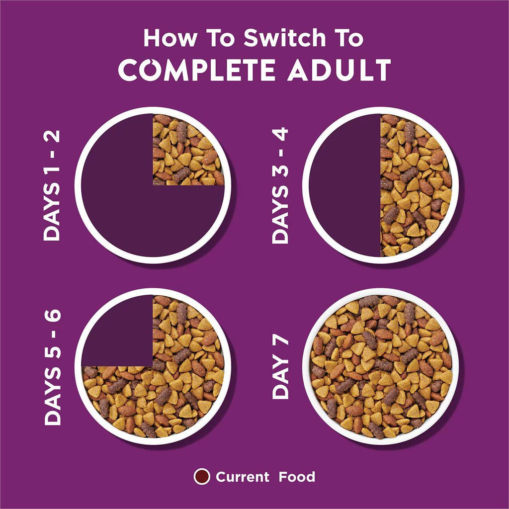 Complete Adult Dry Dog Food With Lamb Flavor 44 lb N9724