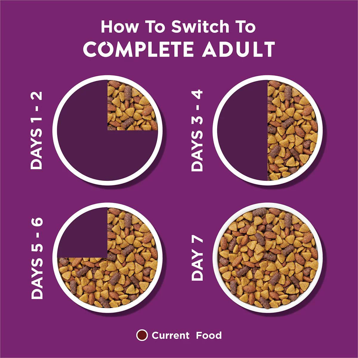 Complete Adult Dry Dog Food With Lamb Flavor 44 lb N9724