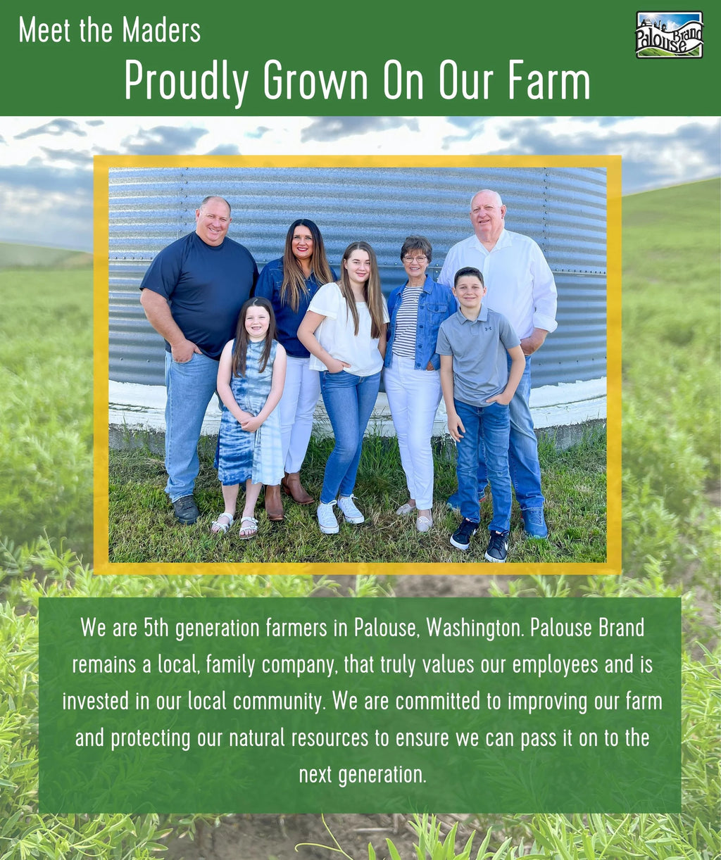 Chickpeas, Lentils and Green Split Peas 75 LBS O3541