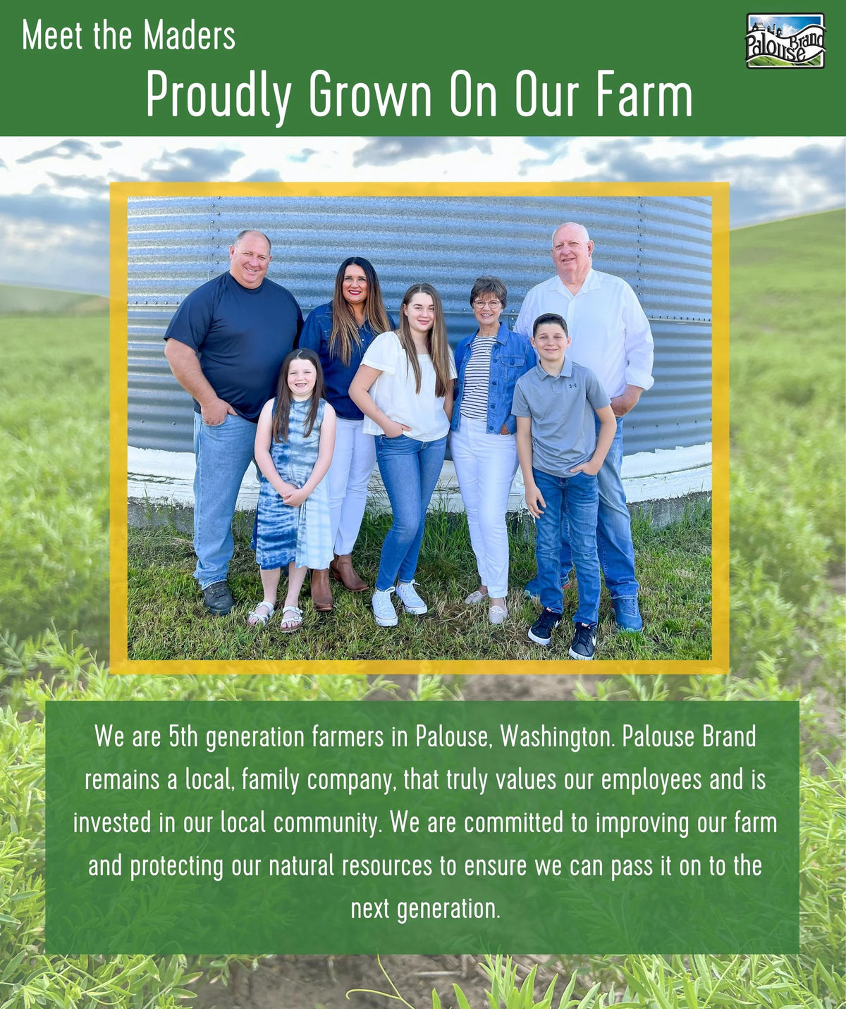 Chickpeas, Lentils and Green Split Peas 75 LBS O3541
