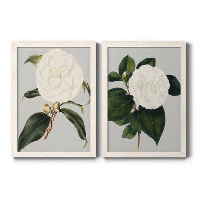 Camellia Japonica Framed Canvas Y661286