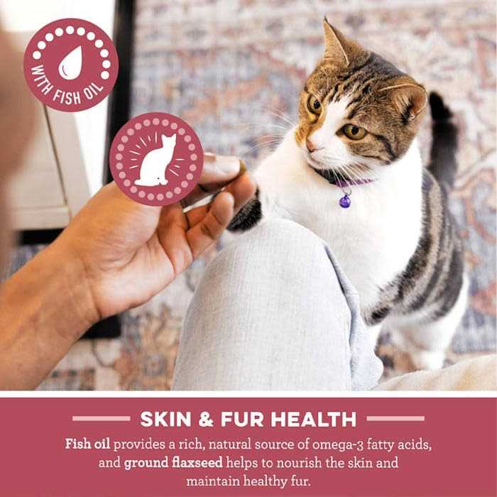 Salmon Dental Cat Treats N292