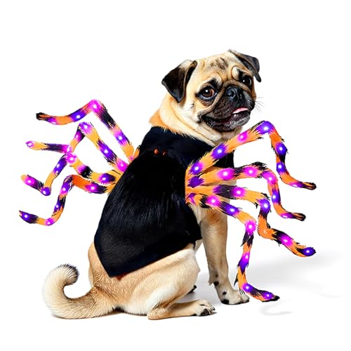 LED Spider Dog Halloween Costume with Multicolor Lights E571