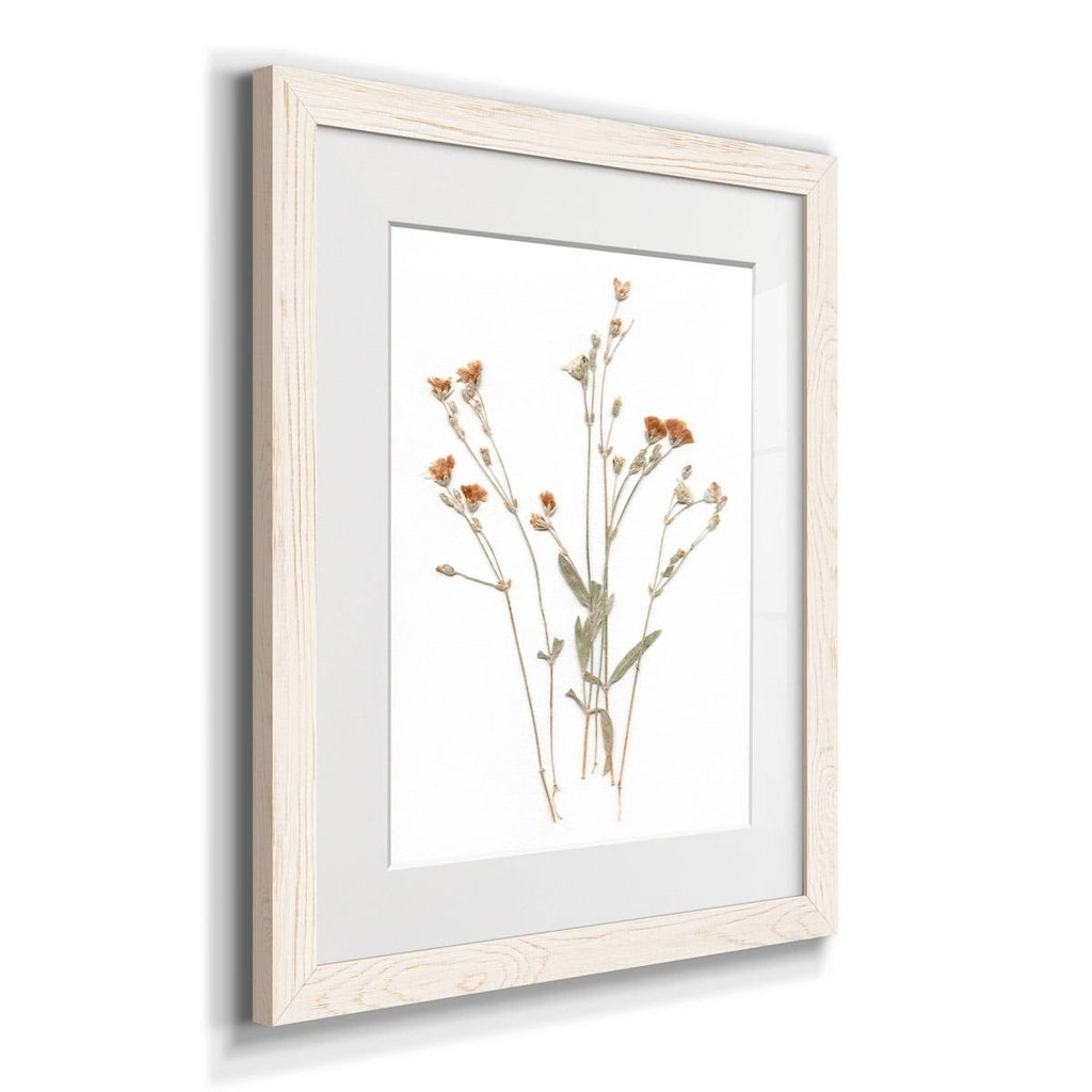 Framed Print 31X44 Black F87136