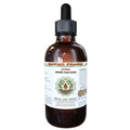 Brazilian Ginseng Alcohol-Free Liquid Extract 2 oz X714862