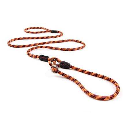 Slip Collar Dog Leash D1160