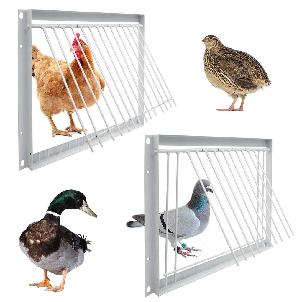 30cm One Way Entrance Bird Trap Door V3154