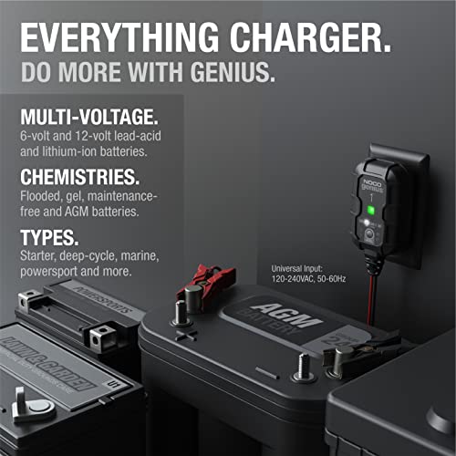 1A 6V and 12V Smart Car Battery Charger M4231