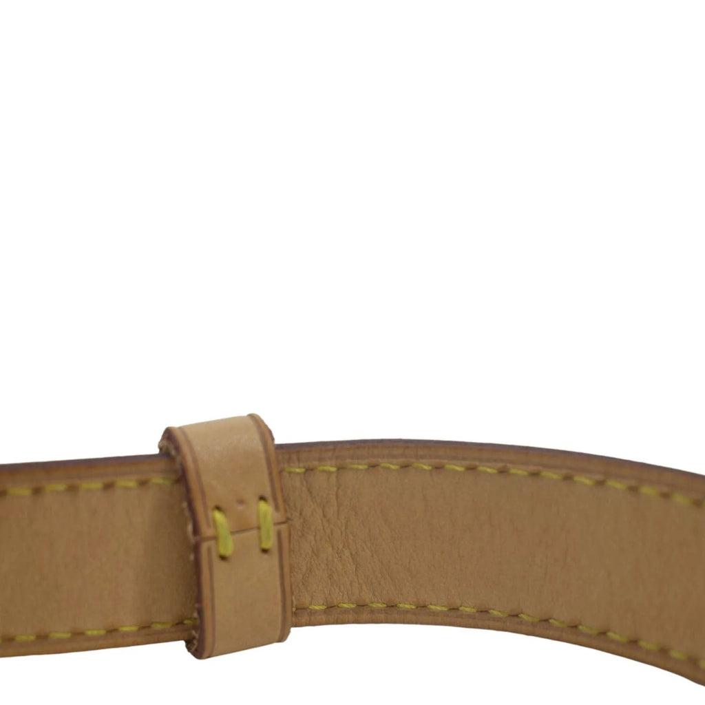 Pre-owned Monogram Canvas Bumbag F43035