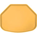 Tuscan Gold Fiberglass Trapezoid Camtray C788267