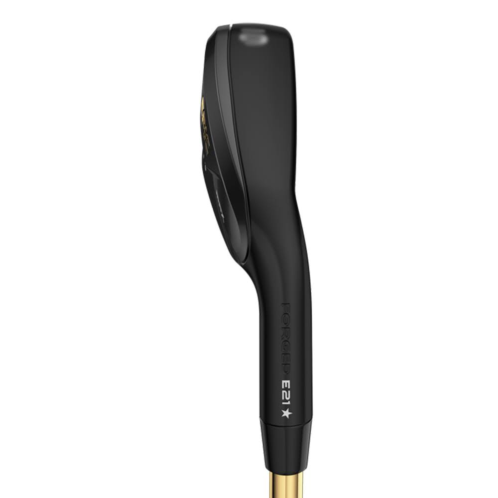 Graphite Individual Iron V146