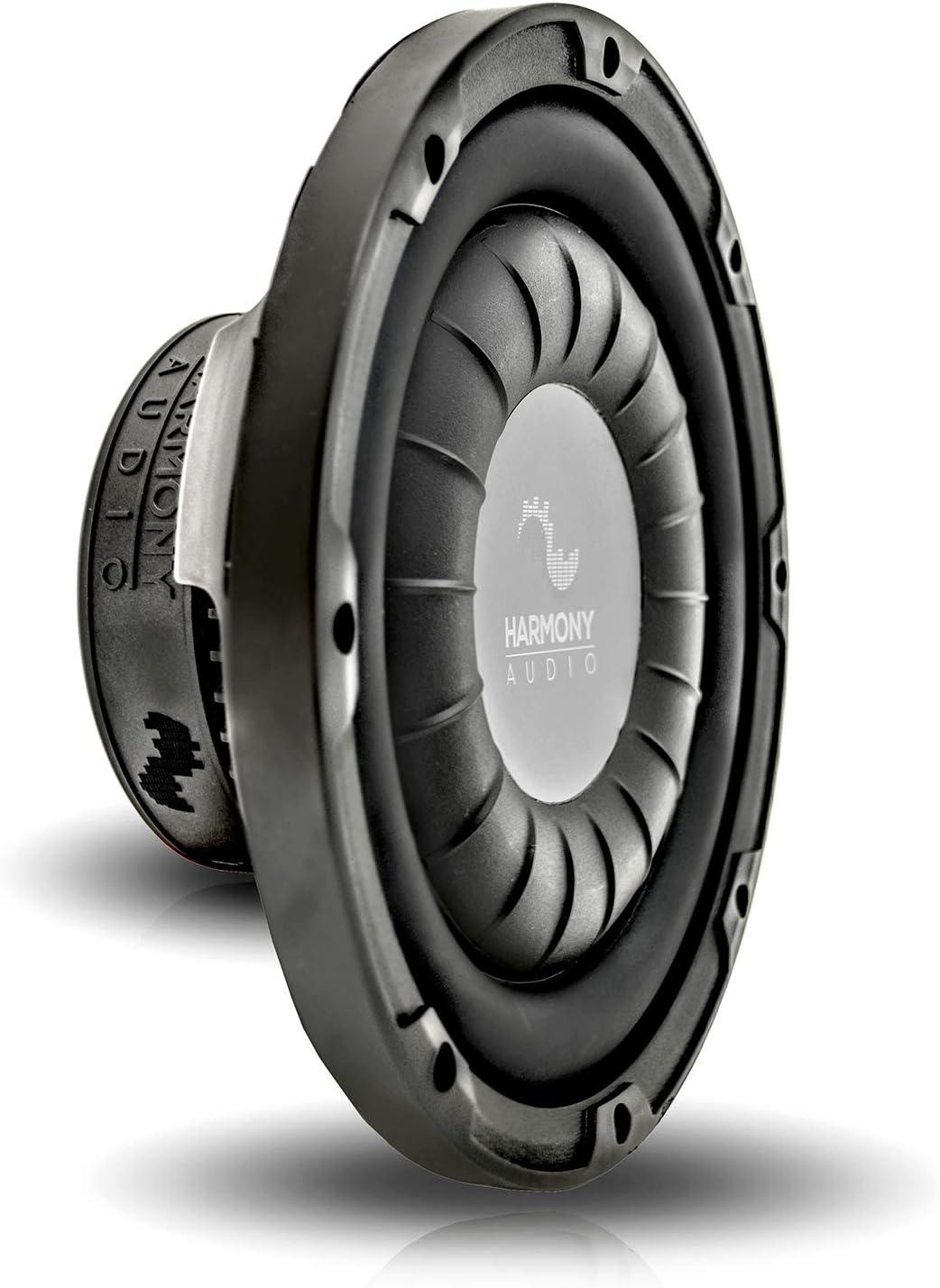 10 Subwoofer Bundle with Amp and Sub Box R2438