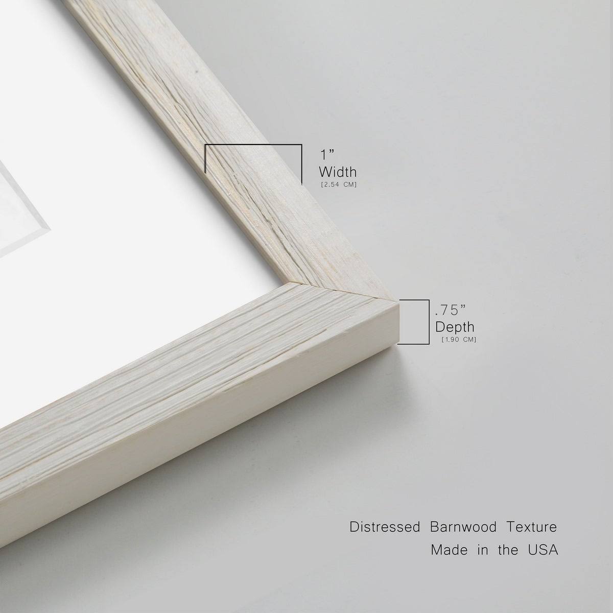 Framed Print 31X44 Black F87136