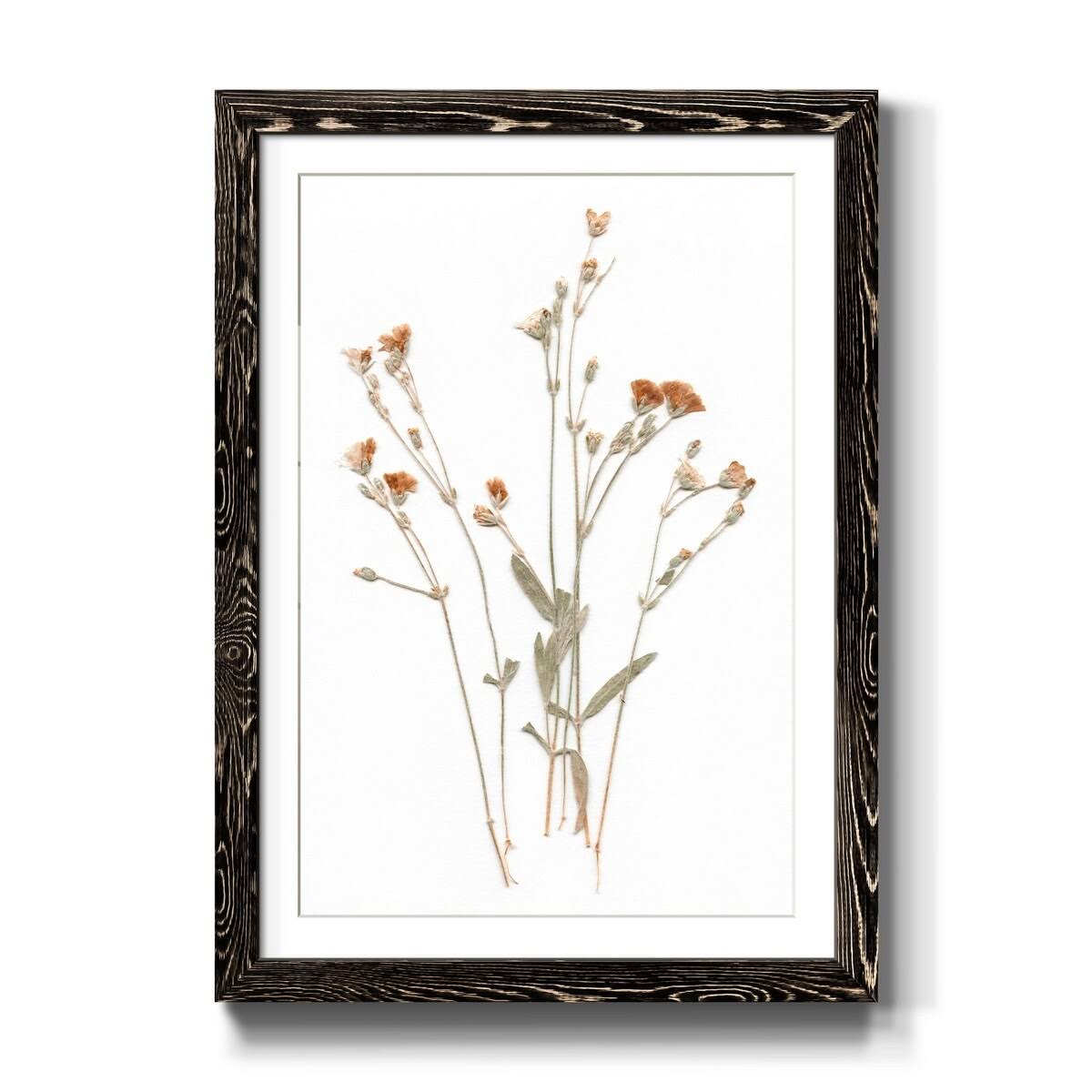 Framed Print 31X44 Black F87136