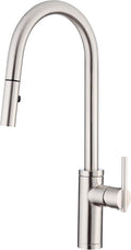 Stainless Steel Pull-Down Kitchen Faucet T66211
