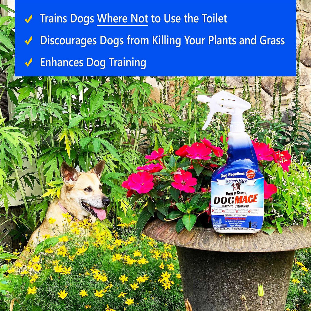 40oz Concentrate Makes 5 Gallons Pet Supplies J63131
