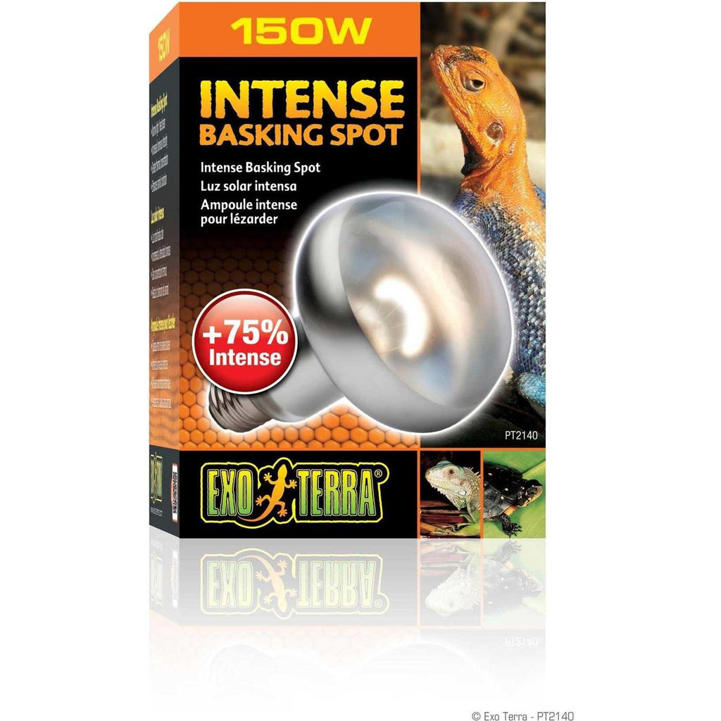 Basking Spot Pet Supplies X212
