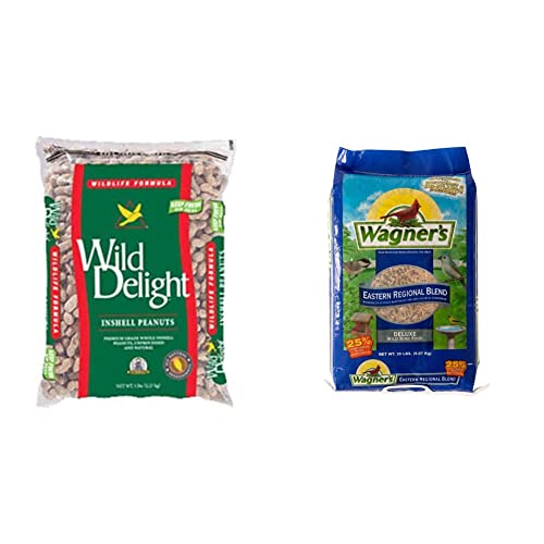 Inshell Peanuts 5 lb Q2024