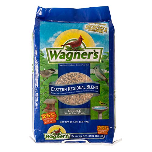Inshell Peanuts 5 lb Q2024