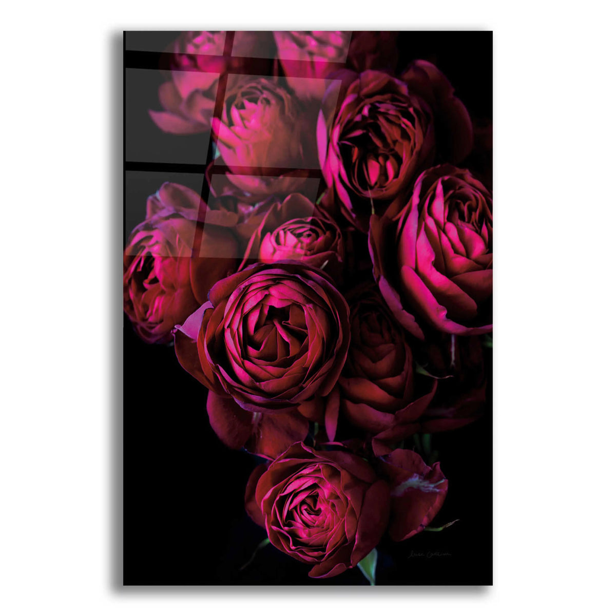 Acrylic Glass Wall Art 12"x16" E4505