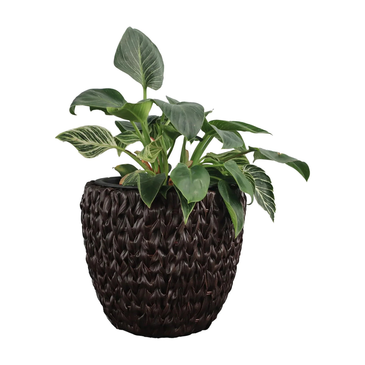 Set Of 2 Round All-Weather Wicker Planter With Plastic Liner M907290