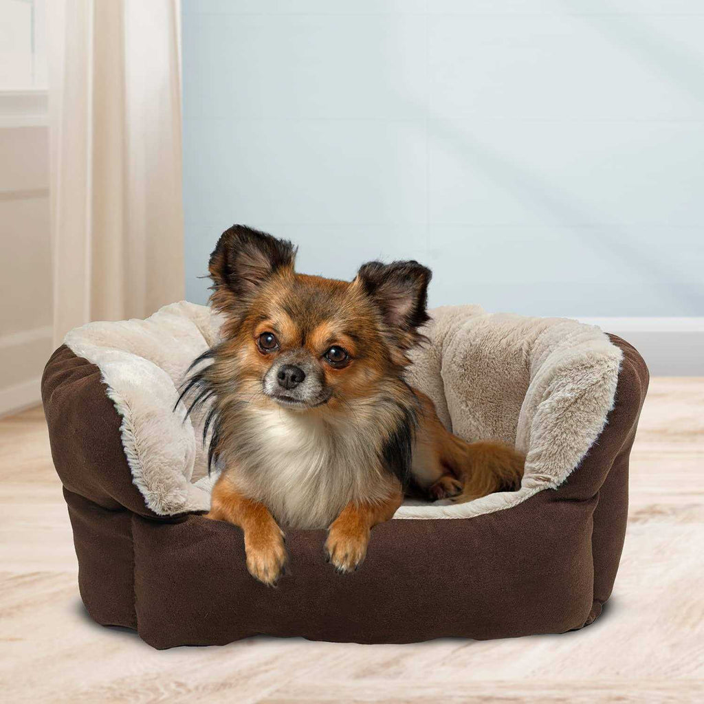 Reversible Cushion Bed Z667
