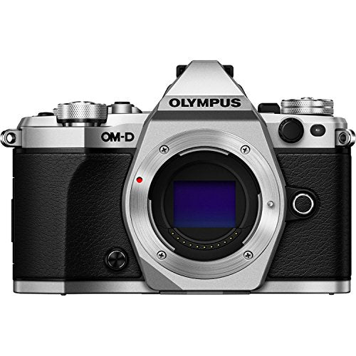 Silver Mirrorless Camera Body F4317