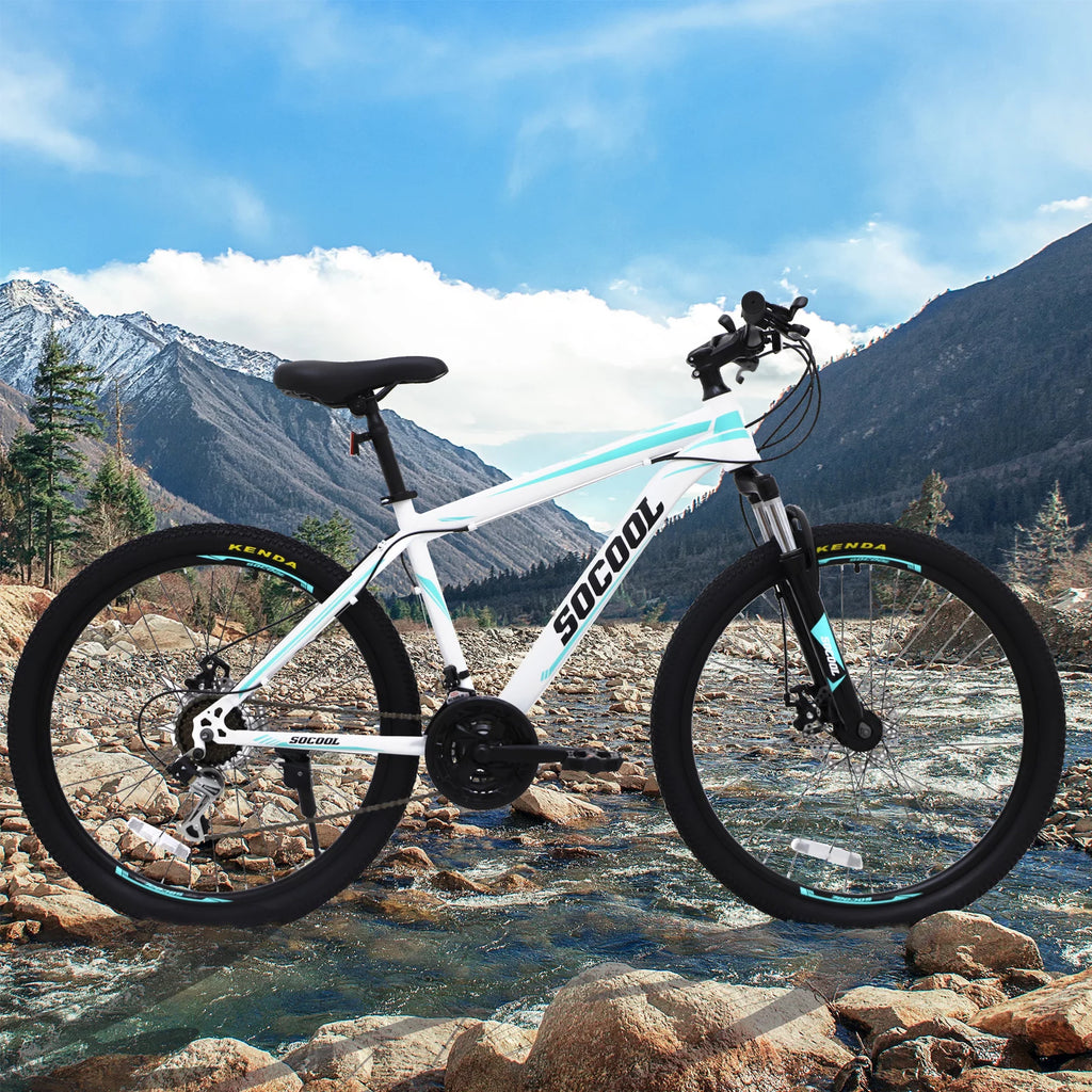 26 Inch 21 Speed Dual Disc Brakes Full Suspension Mountain Bike A9942