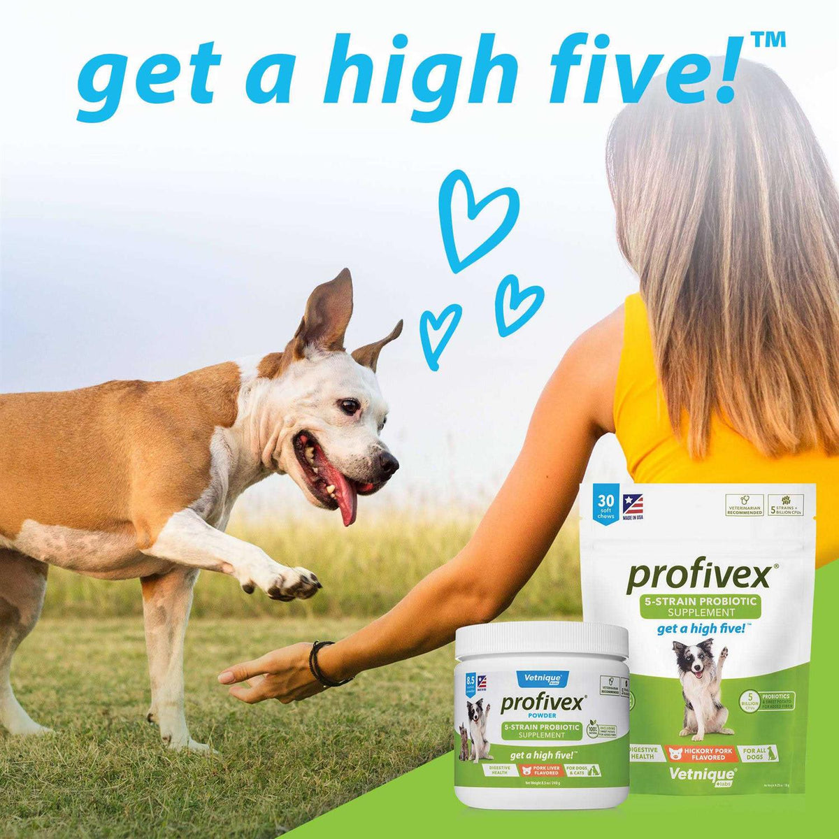 Probiotic Powder for Dogs & Cats H227