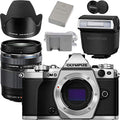 Silver Mirrorless Camera Body F4317