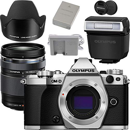 Silver Mirrorless Camera Body F4317
