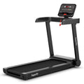 2.25HP Electric Treadmill L312