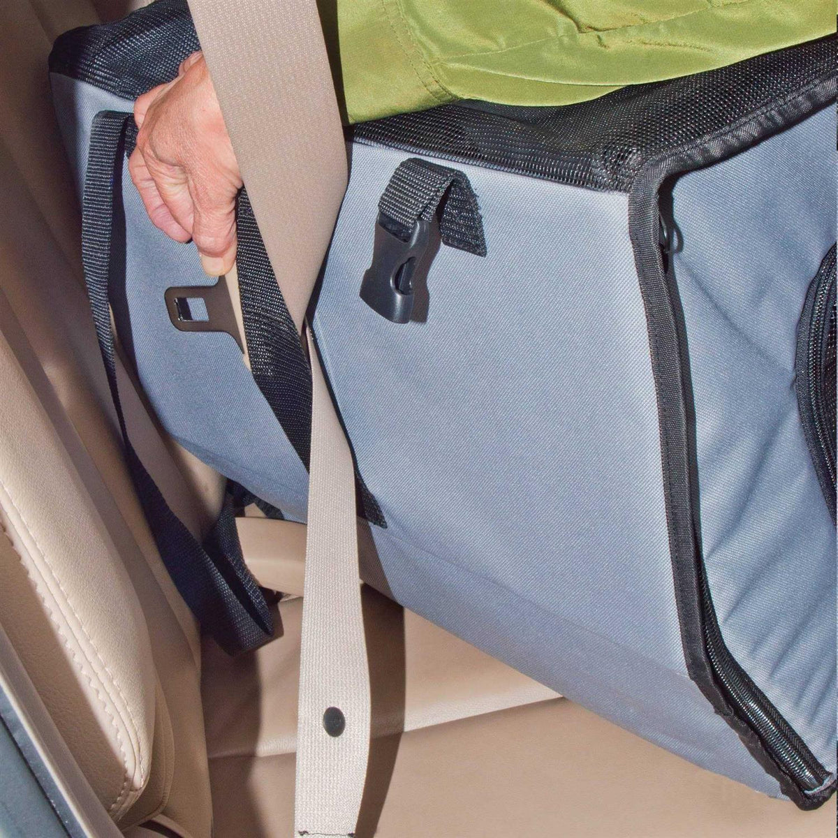 Pet Travel Safety Carrier T53261