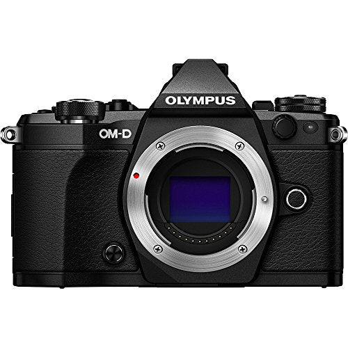 Silver Mirrorless Camera Body F4317