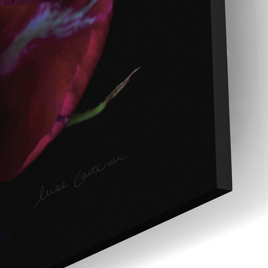 Acrylic Glass Wall Art 12"x16" E4505