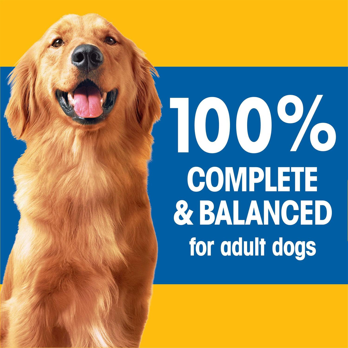 Adult Complete Nutrition Dry Dog Food L35452