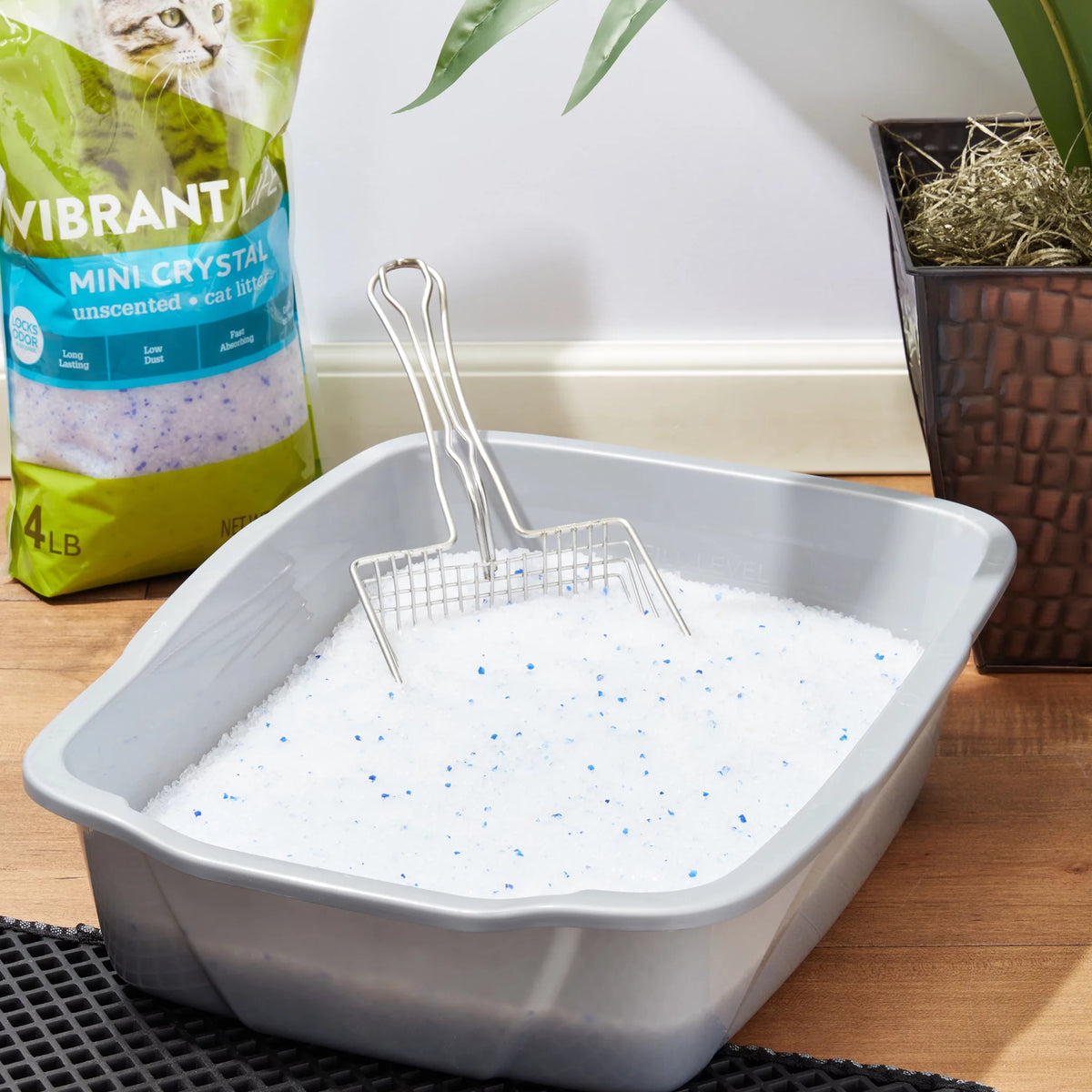 Mini Crystal Unscented Cat Litter, 4 lb Y339672
