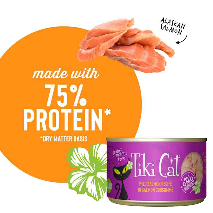 Wild Salmon Cat Food H3473