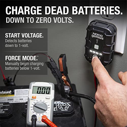 1A 6V and 12V Smart Car Battery Charger M4231