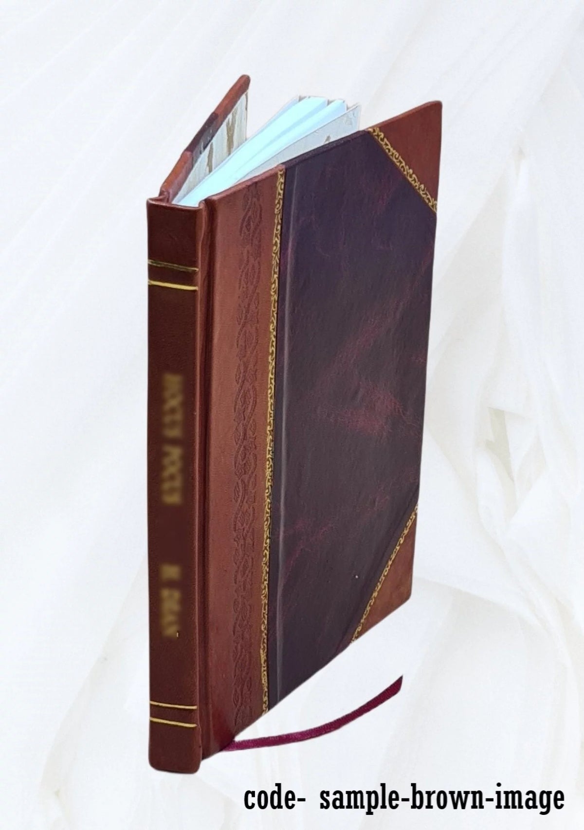 1919 Seed Catalogue Leather Bound D925