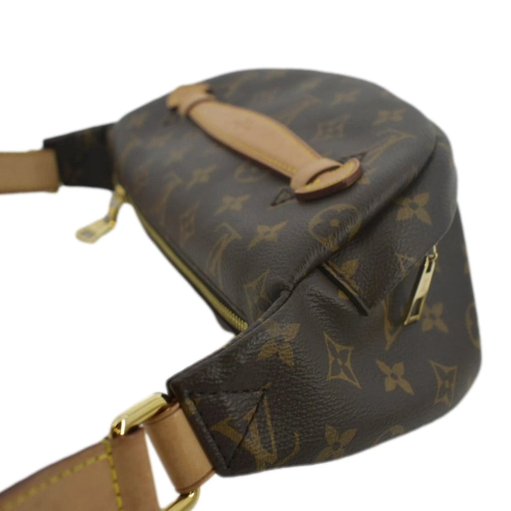 Pre-owned Monogram Canvas Bumbag F43035