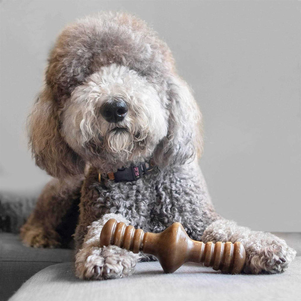 Chicken Dog Chew Toy M23621