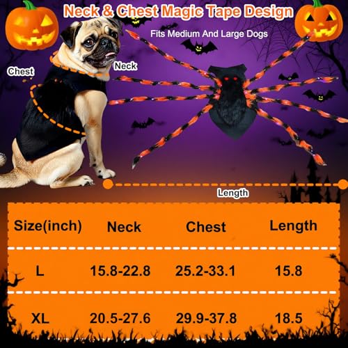 LED Spider Dog Halloween Costume with Multicolor Lights E571