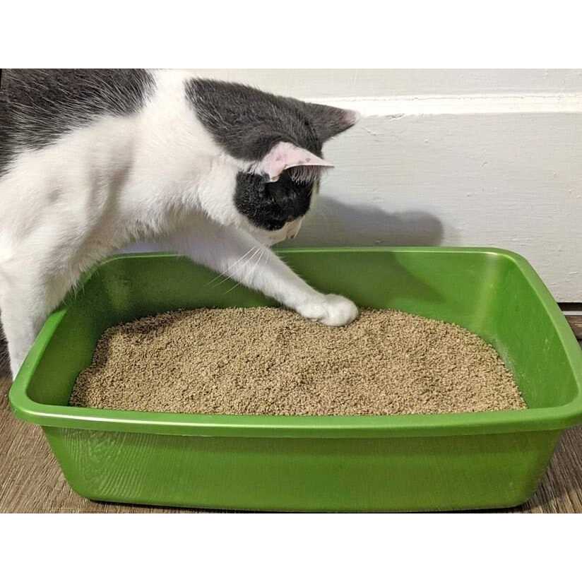 Clumping Cat Litter B357
