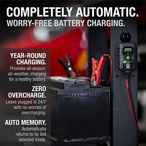 1A 6V and 12V Smart Car Battery Charger M4231