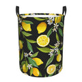 Round Laundry Hamper with Handles V217