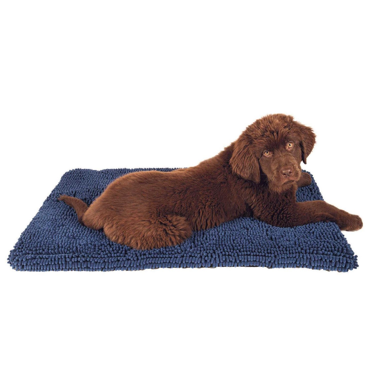 Dirty Dog Cushion Dog Pad Z910254