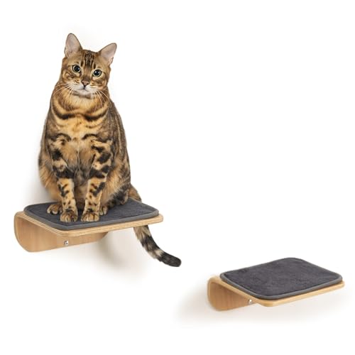 Cat Wall Shelves and Perch with Scratching Cushion T58285