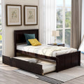 Wood Twin Platform Bed with Headboard & Trundle R6628